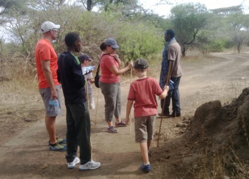 Why Tanzania Is the Best Choice for a Family Safari?