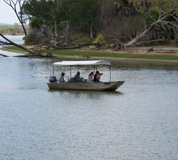 Day Trip to Nyerere National Park