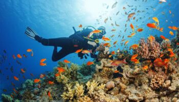 Top 5 Snorkeling and Diving Spots in Zanzibar