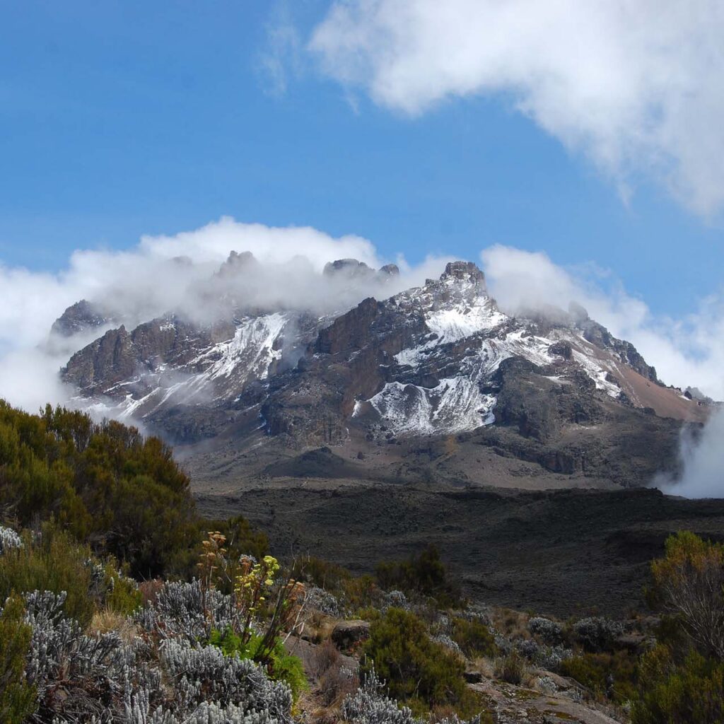 Mt KIlimanjaro Hiking