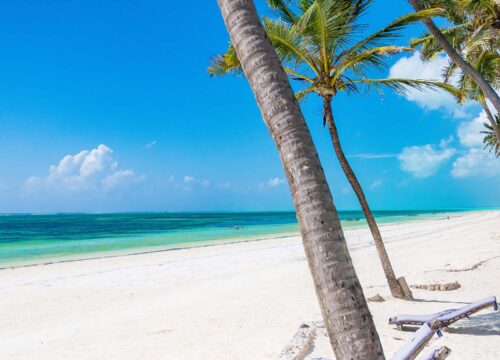 Why Zanzibar Should Be Your Next Tropical Escape